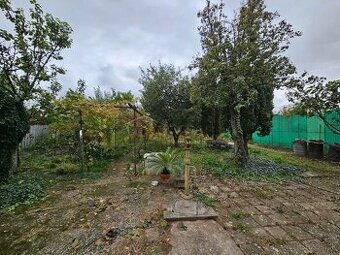 VIVAREAL POZEMOK NA REALAX  so záhradnou chatkou, výmera 55