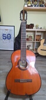 Schneider guitar akustika