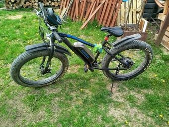 Totem fat bike