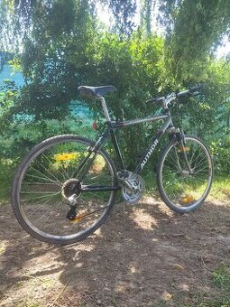 author classic sx