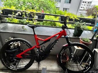 CANYON SPECTRAL ON(2020) “L”