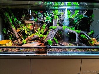 Predám terarium 160x60x60