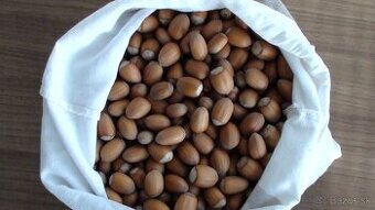 Lieskové orechy nelúpané