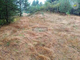 HALO reality - Predaj, pozemok pre rodinný dom 4217 m2 Gel