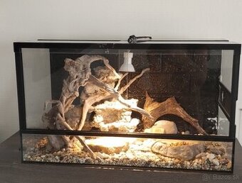 Terarium