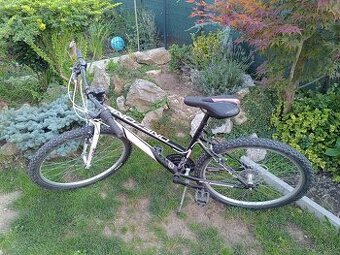 Trekovy bicykel - 1