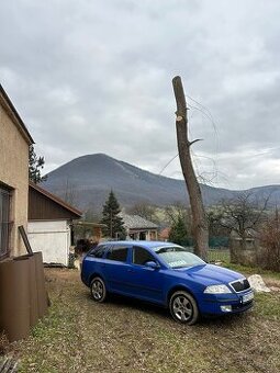 Škoda octavia II 1.9 TDi 4x4