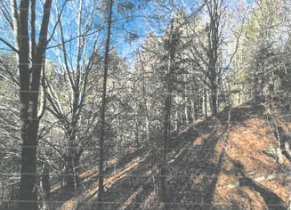 Dražba- pozemky