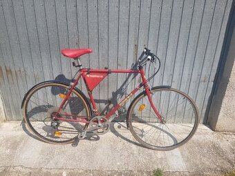Bicykel Bohemia Eska