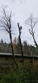 Rizikové výruby, orezávanie a ošetrovanie stromov