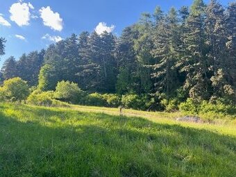 Predaj stavebného pozemku 1002 m² – Trebostovo, pod lesom
