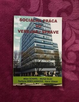Sociálna práca vo verejnej správe