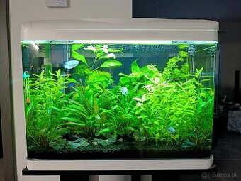 Predám akvárium - 1