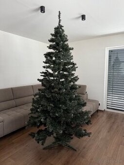 Vianočný stromček Borovica 250cm.