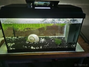 Akvárium 60L
