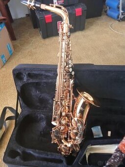 Alt Saxofón Karl Glaser - zlatolak