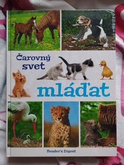 Encyklopedia Carovny svet mladat