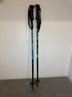 Detske lyziarske palice 75cm/29" - 1