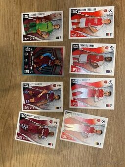 Futbalové kartičky