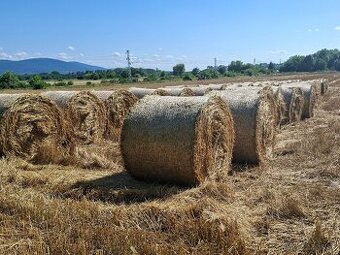 Pšenična slama na predaj