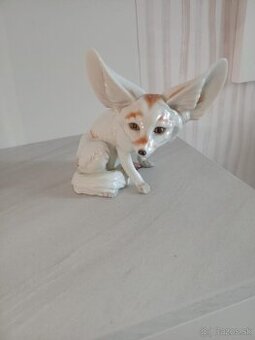 porcelánová púštna líška