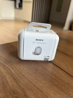 SONY WF-1000XM6