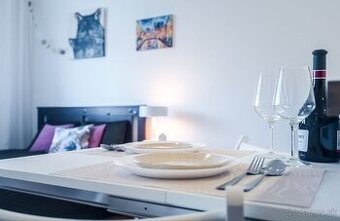 Garsónka na predaj - ul. Čmelíkova, Bratislava II TOP REZERV