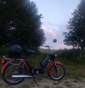 Babeta 210