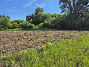 Záhrada na predaj v Nových Zámkoch. Posledný 1 pozemok