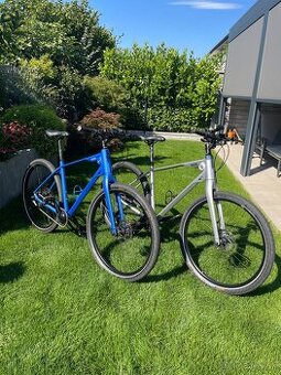 Model: BMW Cruise Bike