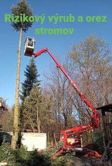 Rizikový výrub a orez stromov