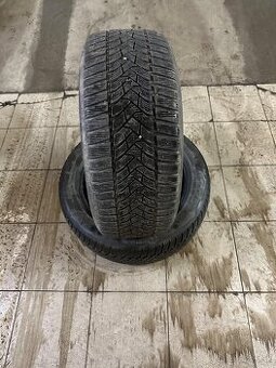 zimné 225/50 r17