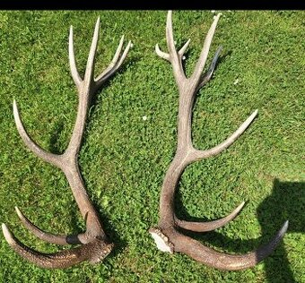 Parozie.patohy.zhody.trofeje