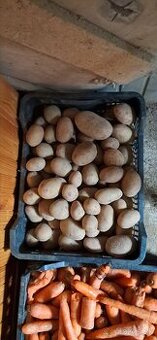 Predám 8 kg sadenic zemiakov