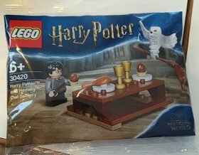 LEGO Harry Potter 30420 Harry Potter a Hedviga