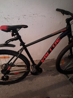 Kellys Spider - 1