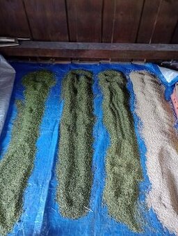 Zmeská, Granule, Kukurica, Pšenica, Jačmeň