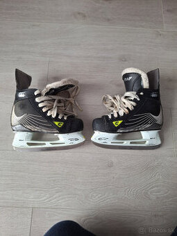 Korčule Graf, velkost 31