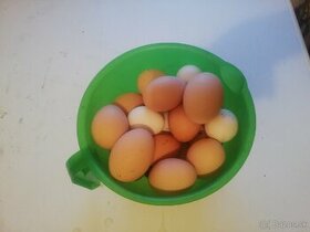 Domáce vajíčka, vajcia
