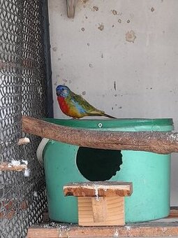 Predam alebo vymením - 1