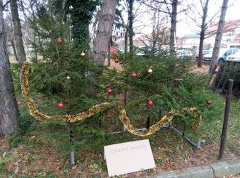 Vianočný stromček