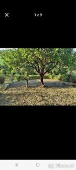 ZAHRADA POZEMOK ZHANAM