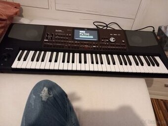 Korg pa 700 nove