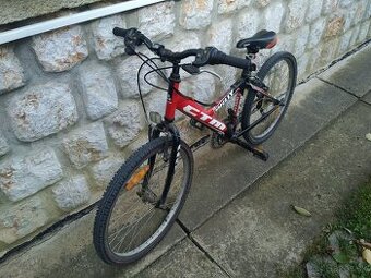 CTM Willy-24"