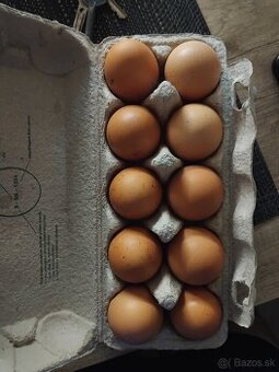 Predám domáce vajcia