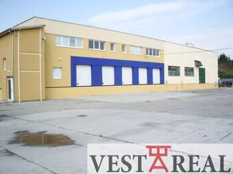Na prenájom administratívny priestor 40 m2 - Trnava, Chovate