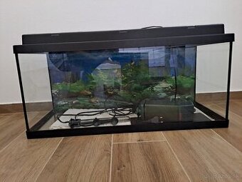 Akvarium 80l