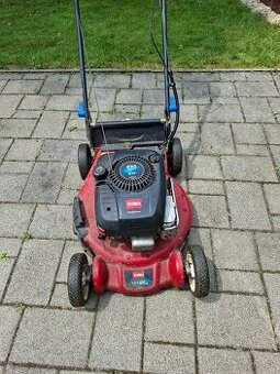 Kosacka TORO