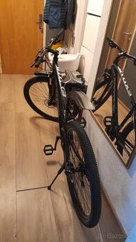 Bicykel Exotic 29