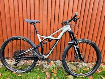 Enduro Expert Carbon